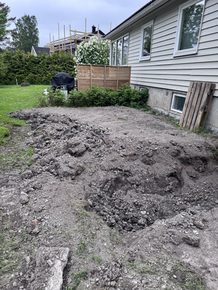 Hvordan skal det gå med plenen.